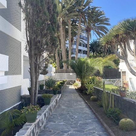 Oasis Playa Maspalomas Maspalomas  Eksteriør billede