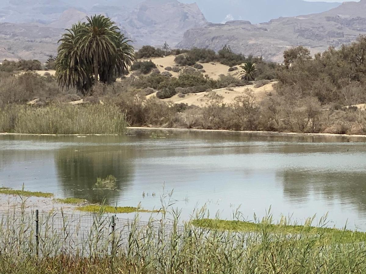 Oasis Playa Maspalomas Maspalomas  Eksteriør billede