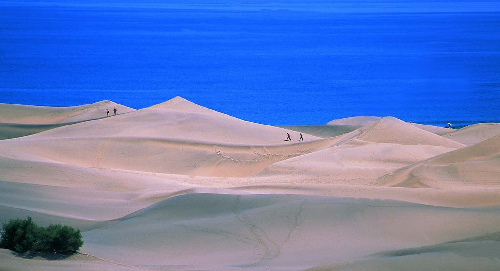 Oasis Playa Maspalomas Maspalomas  Eksteriør billede